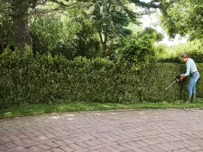 Cercas Verdes: Diseño y Estilo para Tu Jardín