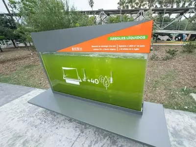 Innovación Urbana: Bio-reactores de Microalgas Combatir la Contaminación del Aire en Ciudades