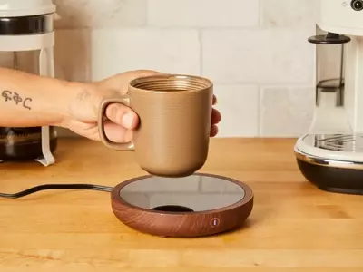 Essential Kitchen Gadgets: Elevate Your Cooking Experience