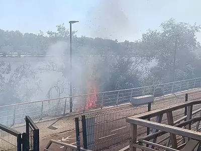 Incendio en los Jardines del Guadalquivir y Nuevas Propuestas para su Dinamización