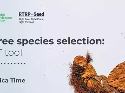 Dominando la Selección de Especies Arbóreas para la Restauración Ecológica