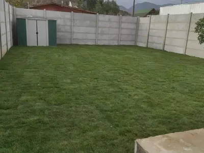 Jardinería Sostenible: Más Allá del Césped Tradicional