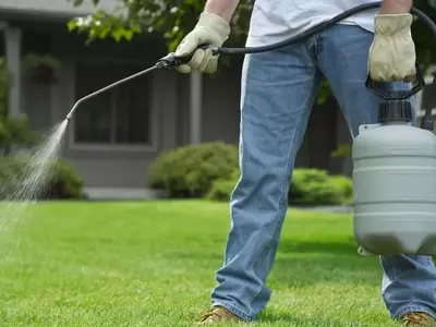 Jardinería Sostenible: Un Enfoque Ecológico para tu Espacio Verde