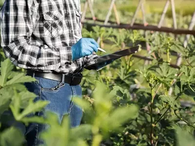 Garantizando la salud agrícola: Un análisis de la defensa normativa de los cultivos en la modernidad.