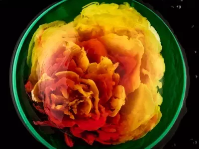The Art of Jelly: Thu Buser's Edible Masterpieces