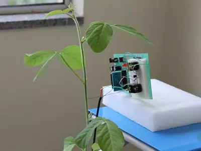 Innovación en el Control de Plagas Agrícolas: Vibraciones y Ultrasonidos como Alternativa Sostenible
