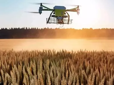 Revolución Agrícola: Drones, ADN y Clima para la Predicción de Enfermedades
