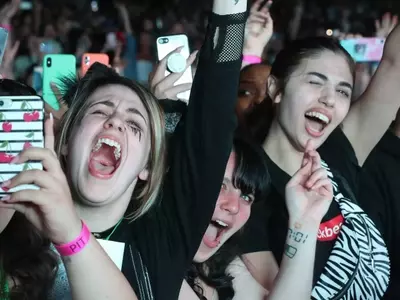 The Evolution of Fandom and its Commercial Impact