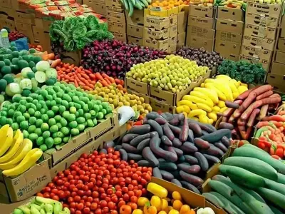 Siete Árboles Frutales Fáciles de Cultivar en Casa y Disfrutar Todo el Año