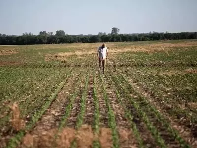 La Revolución en el Control de Malezas: Argentina Lidera con una Innovación Histórica