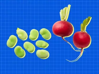 Spring's Bounty: Essential Mediterranean Diet Foods for April