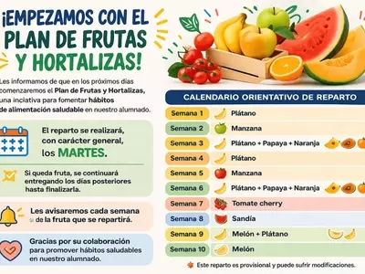 Impulsando Hábitos Saludables: El Programa de Frutas y Verduras en la Educación