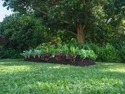Cultivo Urbano: Construyendo tu Propio Huerto Elevado en Espacios Reducidos