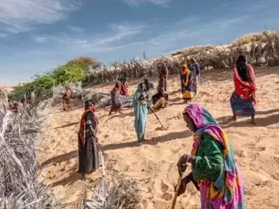 Africa's Great Green Wall: A Grand Vision Facing Formidable Hurdles
