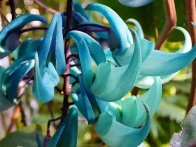 La Preservación de los Recursos Genéticos Vegetales: Un Imperativo para el Futuro