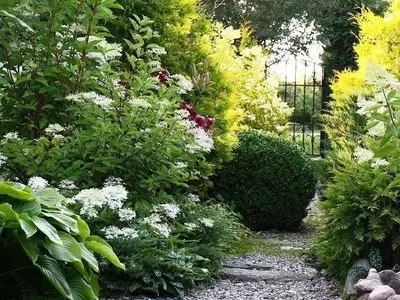 La Filosofía de la Jardinería Consciente: Reconectando con la Naturaleza a Través del Cuidado Lento del Jardín