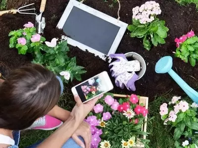 Revoluciona el Cuidado de tus Plantas: Las Apps Indispensables para Jardineros Urbanos