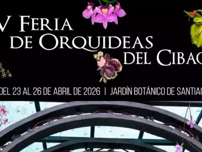 La Feria de Orquídeas del Cibao: Un Festín Botánico y Cultural