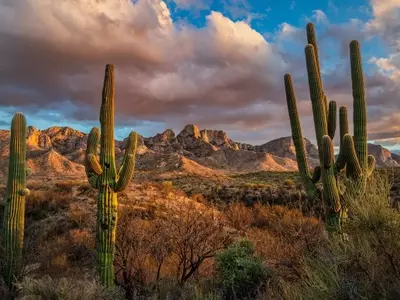 Tucson: The Southwest's Unsung Gem for Travelers