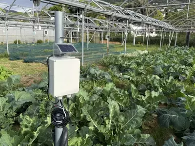 Revolucione Su Jardín: La Guía Definitiva de Huertos Inteligentes