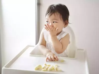 First Solid Foods for Babies Without Teeth