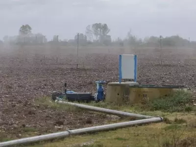 Crisis en el Campo: El Impacto del Aumento de Precios en Fertilizantes y Combustible