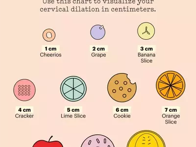 Understanding Cervical Dilation During Childbirth: A Visual Guide