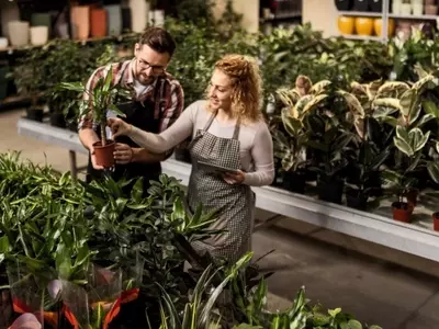 Guía Completa para Elegir la Planta Perfecta y Asegurar su Supervivencia