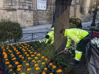 Explosión Floral Transforma la Plaza Principal de Yecla