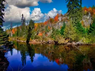 Créditos de Biodiversidad Voluntarios: Un Impulso Complementario para la Restauración Ecológica