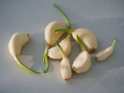 Mastering Garlic Preservation: Essential Storage Techniques for Optimal Flavor and Health Benefits