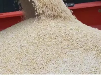 La Crisis de Fertilizantes Impulsa Alternativas de Nutrición Agrícola