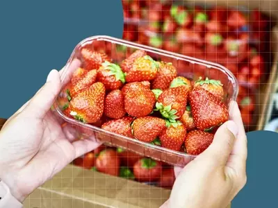 Optimizing Strawberry Freshness: Expert Storage Tips and Essential Tools