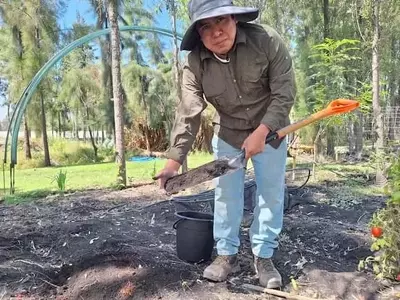 Mejora del Suelo y Nutrición: Un Proyecto Integral en México