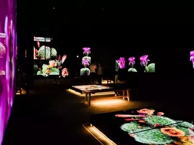 3D Scans Unveil Sonoran Desert's Hidden Life, Informing Conservation Efforts