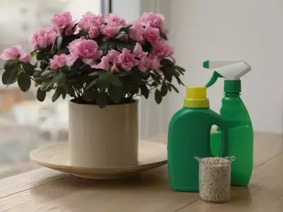 Guía Definitiva para la Nutrición de Plantas de Interior: Todo sobre Fertilizantes