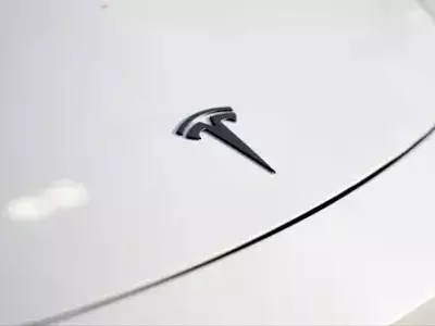 Tesla's Strategic Investment in Innovation Outweighs Short-Term Earnings