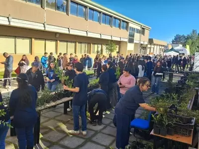 Celebración del Día del Ingeniero Forestal con la Entrega Masiva de Árboles Autóctonos en la UdeC
