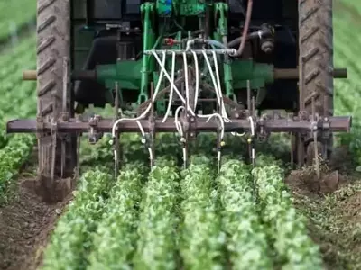 Fertilizantes nitrogenados: Presión alcista en el mercado global