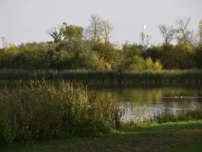 Urea y su Impacto en la Calidad del Agua: Un Estudio Revelador en las Praderas Canadienses