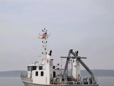 Potomac River Struggles with Persistent Sewage Contamination