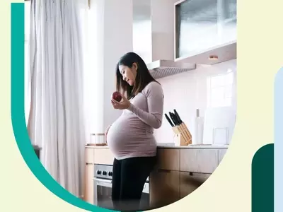 A Week-by-Week Guide to Fetal Development: From Seed to Watermelon