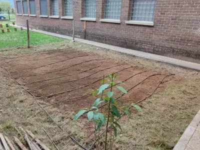 Huertos Escolares en Ponferrada: Sembrando Educación Ambiental y Sostenibilidad