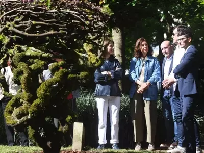 Galicia Impulsa la Protección de sus Árboles Emblemáticos con Nuevas Ayudas Económicas