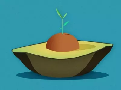 De la cocina al huerto: Guía esencial para cultivar un aguacate en casa sin fallar en el intento