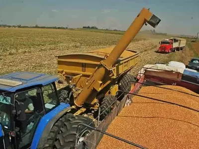 Cosecha Agrícola Argentina Supera Marcas Históricas: Un Impulso Sin Precedentes para el Sector
