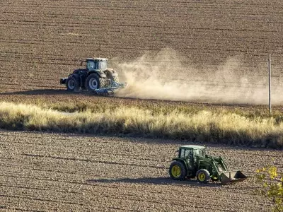 El Pistacho: Un Crecimiento Exponencial en la Agricultura Española