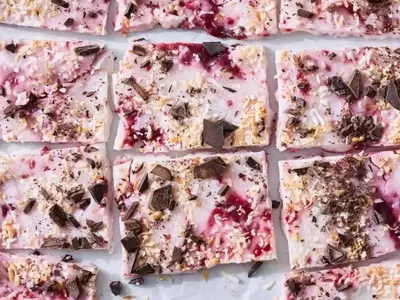 Frozen Raspberry Chocolate Coconut Yogurt Bark