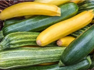 Cosecha Abundante: Guía Completa para el Cultivo de Calabacín Durante el Verano