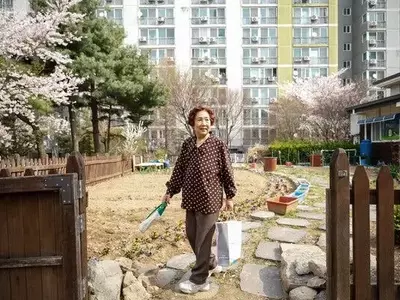 AI's Role in Supporting South Korea's Aging Population